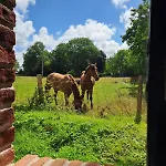 Le Clos Des Bruyeres Vakantiehuis *