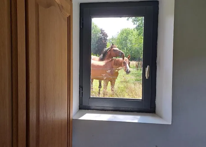 Le Clos Des Bruyeres Honfleur