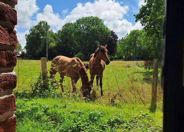 Le Clos Des Bruyeres Holiday home *